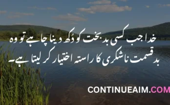 Maulana Rumi Quotes in Urdu