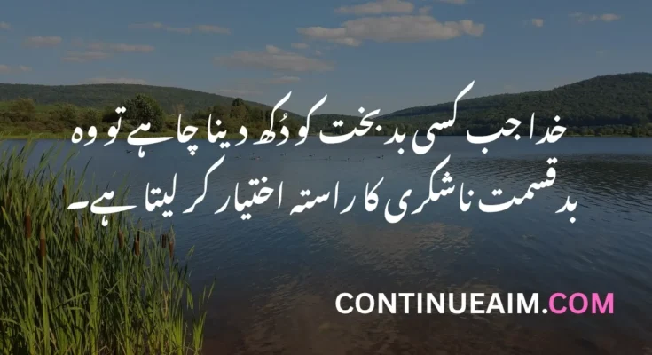 Maulana Rumi Quotes in Urdu
