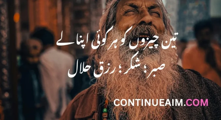 Sabar Quotes in Urdu