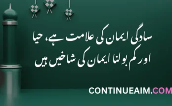 Best Islamic Quotes in Urdu