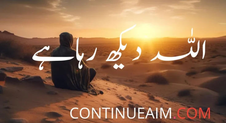 اللہ دیکھ رہاہے 