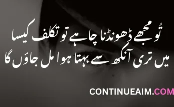 Ansu Quotes in Urdu