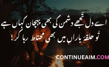 Dil Quotes in Urdu