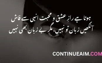 Eyes Quotes in Urdu