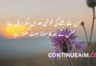 Khushi Quotes in Urdu