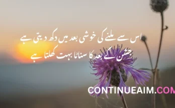 Khushi Quotes in Urdu